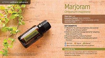 Product: Visit www.doterra.com/sheenahudson or call 724-747-9749 to place an order:) Price does not include S&H. - Holistica in Washington, PA Health & Medical