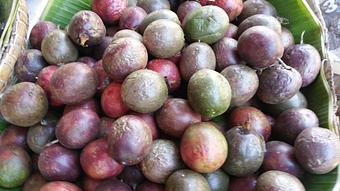 Product - Hollywood Rock Cafe in located directly in the heart of the Walk of Fame (Hollywood Blvd) - Los Angeles, CA American Restaurants