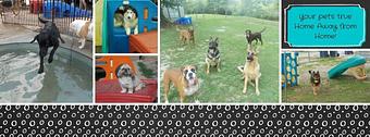 Product - Home Away From Home Pet Resort & Salon in Russellville, KY Pet Boarding & Grooming