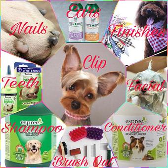 Product - House of Paws in Apple Valley, CA Pet Care Services