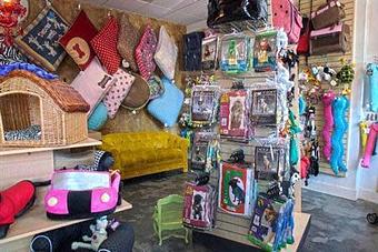 Product - Impeccable Paws in Cornelius, NC Pet Care Services