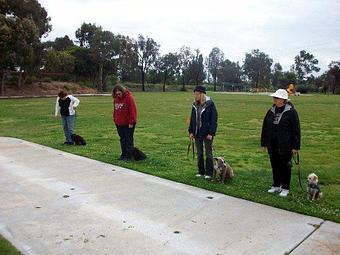 Product - In Total Command in San Diego, CA Pet Care Services