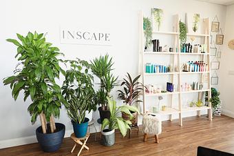 Product: Inscape Beauty Salon - Plants & products display area. - Inscape Beauty Salon in Davie, FL Beauty Salons