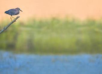 Product - John Tunney Photography in Brewster, MA Misc Photographers