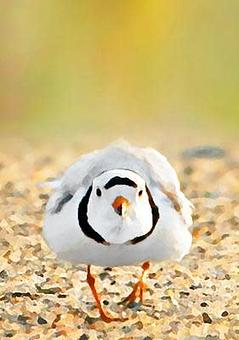 Product - John Tunney Photography in Brewster, MA Misc Photographers