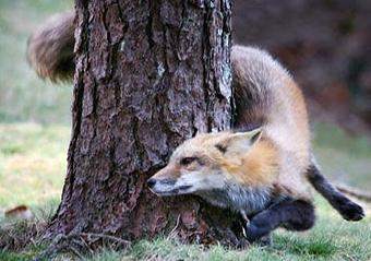 Product - John Tunney Photography in Brewster, MA Misc Photographers