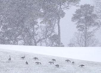 Product - John Tunney Photography in Brewster, MA Misc Photographers