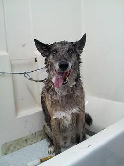 Product - Johnny's Navajo Hogan in Colorado Springs, CO American Restaurants