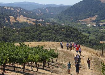 Product: Guests hike through the Jordan Estate, featuring mountain views, wildlife, vibrant vineyards, lakes, wine tasting and more. - Jordan Vineyard & Winery in Healdsburg, CA Restaurants/Food & Dining