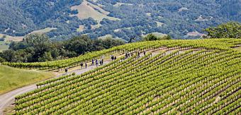 Product - Jordan Vineyard & Winery in Healdsburg, CA Restaurants/Food & Dining