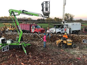 Product - Jr's Tree Service in Lemoore, CA Ornamental Nursery Services
