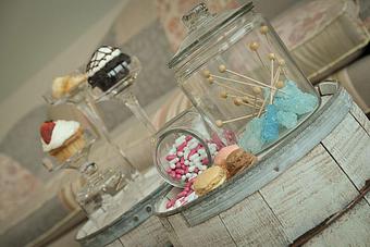 Product - Junebug Photography in Holland, MI Misc Photographers