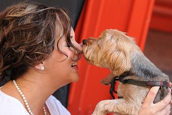 Product - Junebug Photography in Holland, MI Misc Photographers