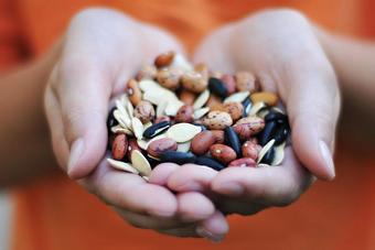 Product - Junebug Photography in Holland, MI Misc Photographers