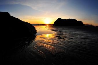 Product - Junebug Photography in Holland, MI Misc Photographers