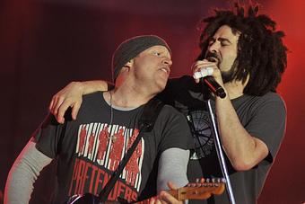 Product - Junebug Photography in Holland, MI Misc Photographers