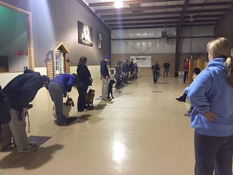 Product - K9 Tailshakers in Frankfort, IL Pet Care Services