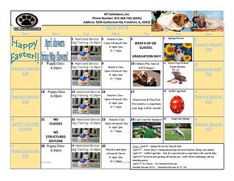 Product - K9 Tailshakers in Frankfort, IL Pet Care Services