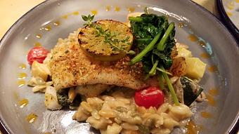 Product - Kitchen 330 in Stone Harbor, NJ American Restaurants