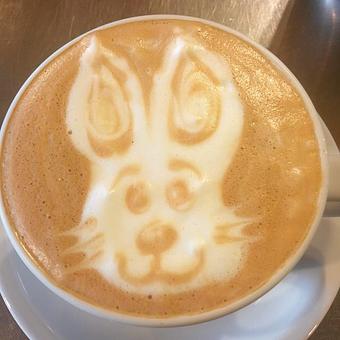 Product - Kora Kora Coffee in New Braunfels, TX Bakeries