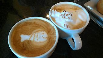 Product - Kora Kora Coffee in New Braunfels, TX Bakeries