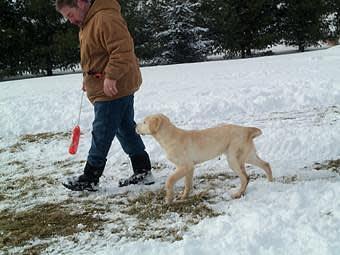 Product - Kountryside Kennel in Goshen, IN Pet Boarding & Grooming