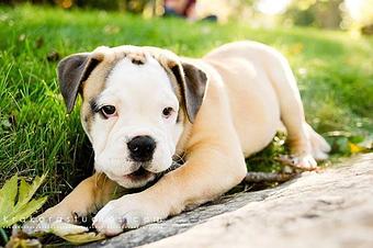 Product - Krakora Studios in Madison, WI Misc Photographers