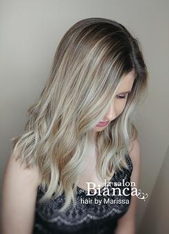 Product - La Salon Bianca in Rochester, NY Beauty Salons