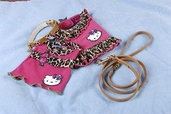 Product - Lap Of Luxury in Delray Beach, FL Pet Care Services