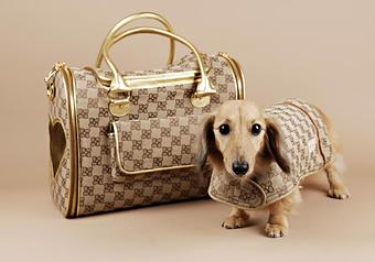 Product - Lap Of Luxury in Delray Beach, FL Pet Care Services