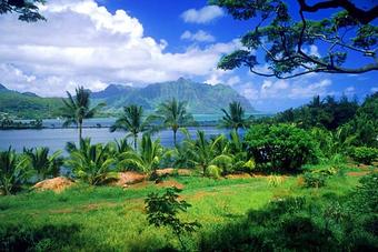 Product - Lappert's Super Premium Ice Cream & Dole Whip in Palm Springs, CA American Restaurants