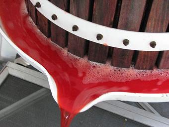 Product - Lasata Wines in Lawrenceville, IL Beer & Wine