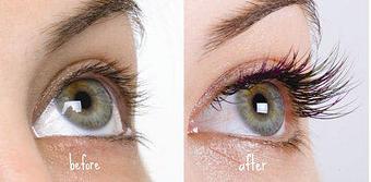 Product - Lash Lounge & Spa in Palm Harbor, FL Day Spas