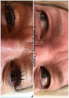 Product: Lashes by Dawn - Lash Lounge & Spa in Palm Harbor, FL Day Spas