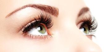 Product - Lash Lounge & Spa in Palm Harbor, FL Day Spas