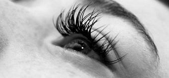 Product - Lashes de Bella in South Lamar - Austin, TX Beauty Salons