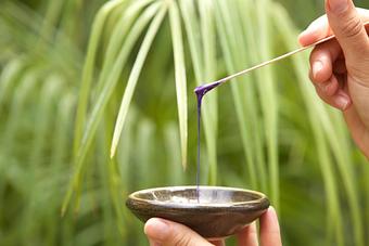 Product - Lemongrass Aveda Salon & Spa in Encinitas, CA Beauty Salons