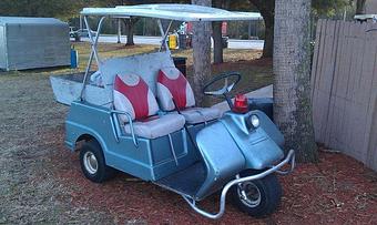 Product - Lightning Bugz LSV in Isle of Palms, SC Business Services