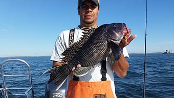 Product - Lincoln Brothers Fishing in Bourne, MA Cars, Trucks & Vans