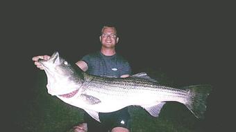 Product - Lincoln Brothers Fishing in Bourne, MA Cars, Trucks & Vans