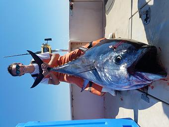 Product - Lincoln Brothers Fishing in Bourne, MA Cars, Trucks & Vans