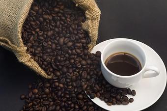 Product - Little Coffee Bean in Douglas, MA Bagels