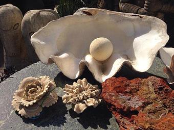 Product - Living Green Design in San Francisco, CA Business Services Product - Living Green Design in San Francisco, CA Business Services