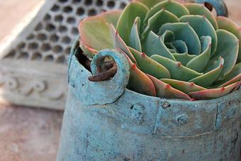 Product - Living Green Design in San Francisco, CA Business Services Product - Living Green Design in San Francisco, CA Business Services