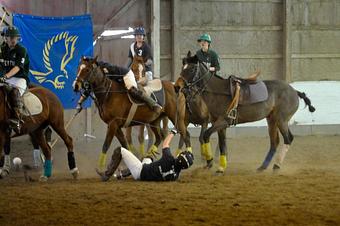 Product: He was ok - Long Leash LLC Pet Photography in Wilbraham, MA Photography