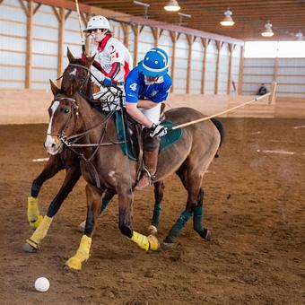 Product: 2014 Yale Interscholastic Team Captain Yaroslav McCarthy - Long Leash LLC Pet Photography in Wilbraham, MA Photography