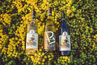 Product - Los Pinos Ranch Vineyards - Fredericksburg in Fredericksburg, TX Bars & Grills