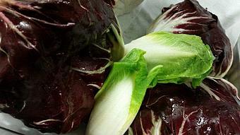 Product - LouReda's An American Table in Rocky Mount, NC American Restaurants