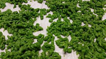 Product - LouReda's An American Table in Rocky Mount, NC American Restaurants