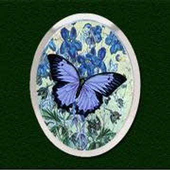 Product - Lovell Designs in Portland, ME Shopping & Shopping Services